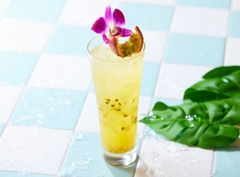 Passion Paloma～パッション・パロマ