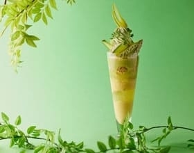The Lobby Cafe「Color Parfait ～Green～」