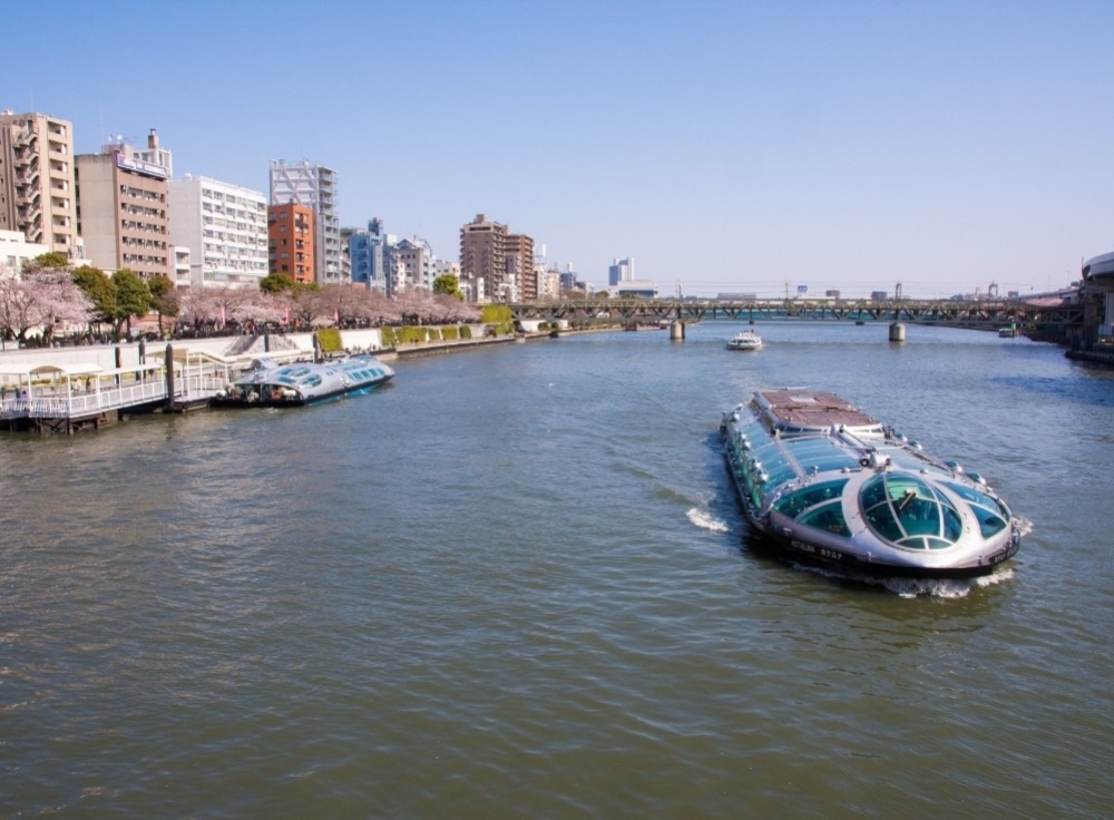お花見船 隅田川ルート イメージ