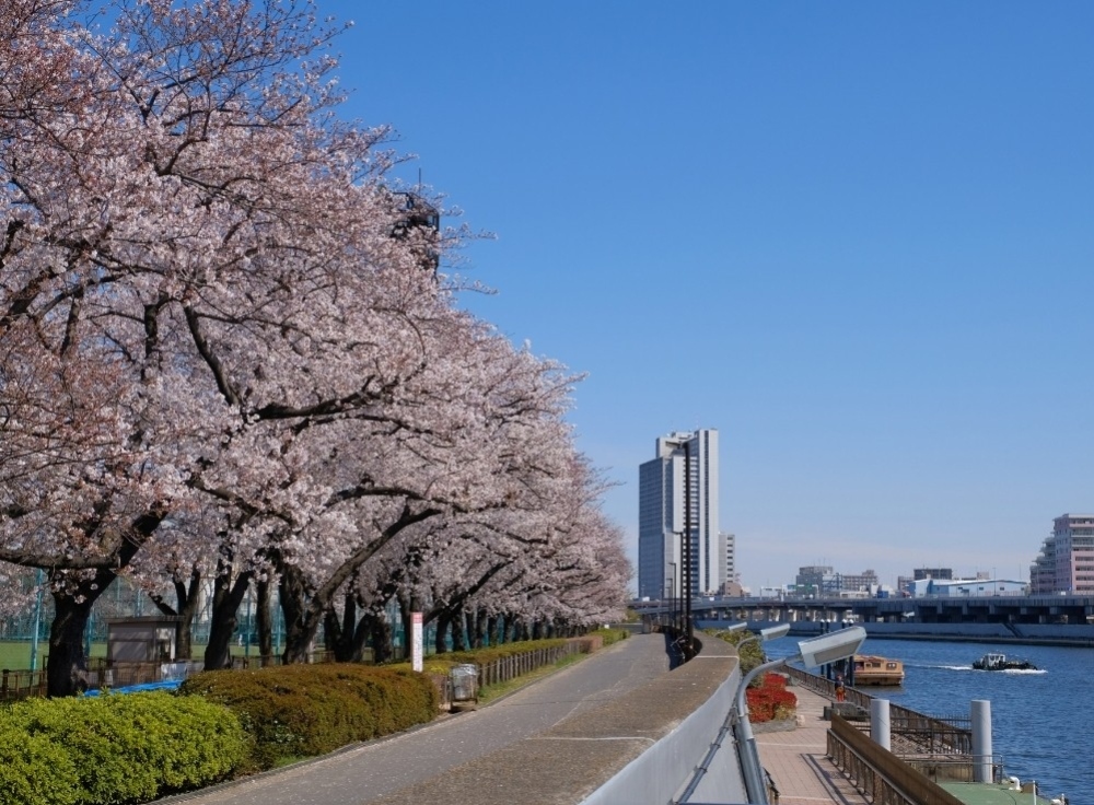 隅田公園