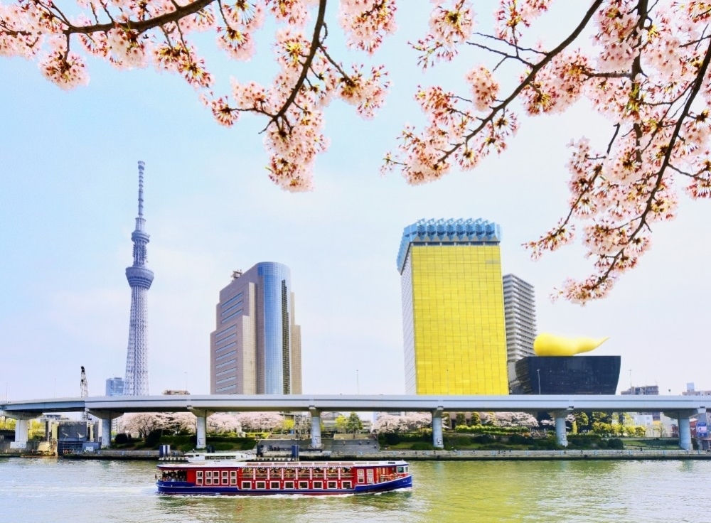 浅草〜お台場間の船旅で楽しめる桜の絶景スポット