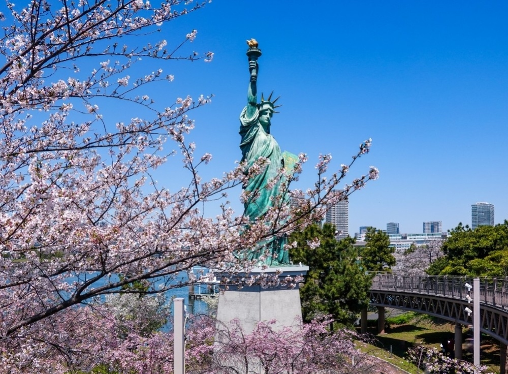 自由の女神像と桜