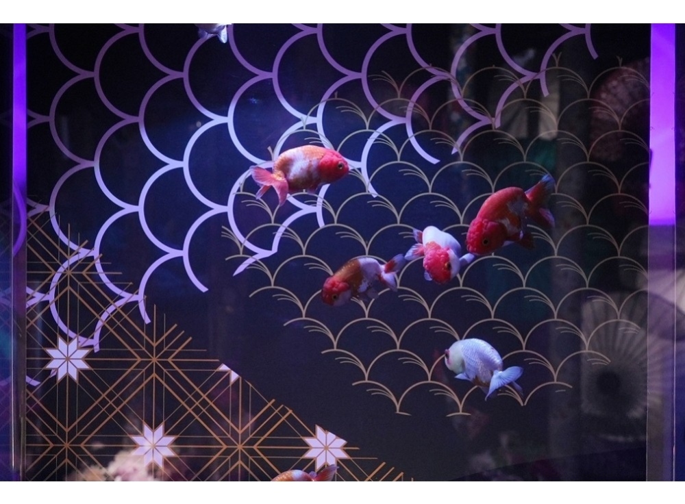 アク和リウムGA☆KYOの魅力