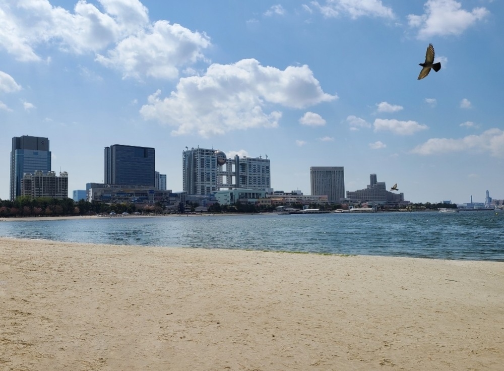 お台場海浜公園でリゾート気分を満喫できるアクティビティ！SUP体験や散策コースを紹介
