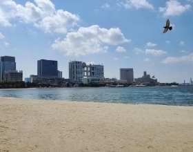 お台場海浜公園でリゾート気分を満喫できるアクティビティ！SUP体験や散策コースを紹介