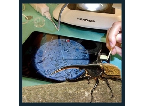 博物ふぇすてぃばる！11  |  7月20日・21日 | 南1ホール