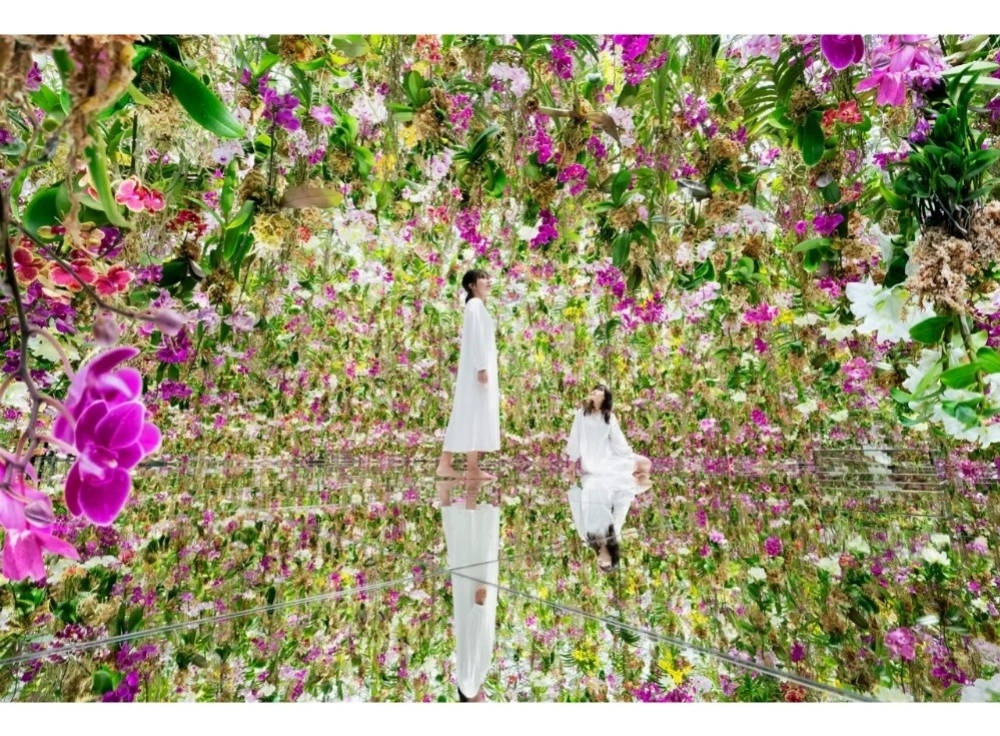 チームラボプラネッツ TOKYO DMM