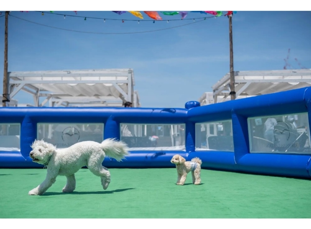 キラナガーデン豊洲