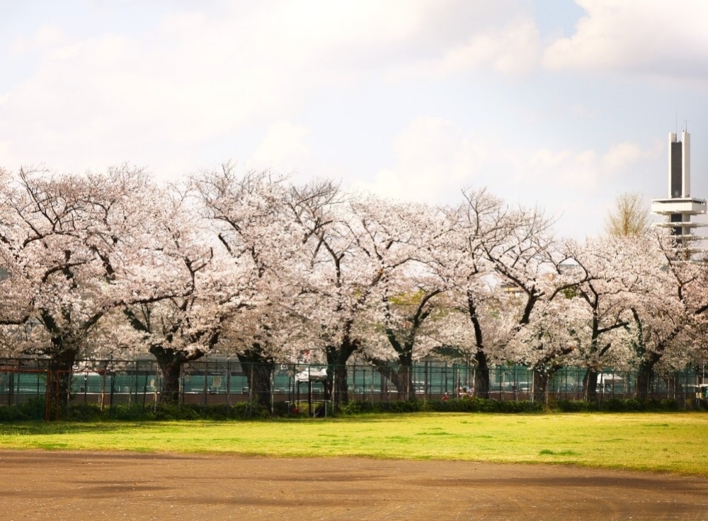 駒沢オリンピック公園