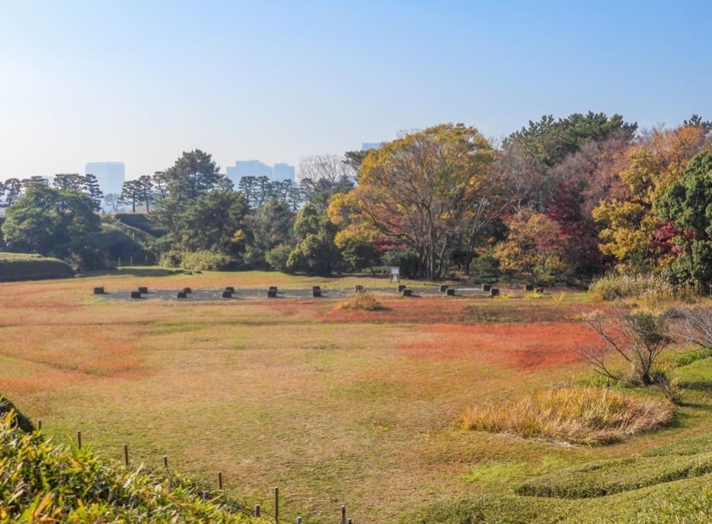 台場公園（第三台場）｜歴史遺構と季節の彩りが調和する静寂の島