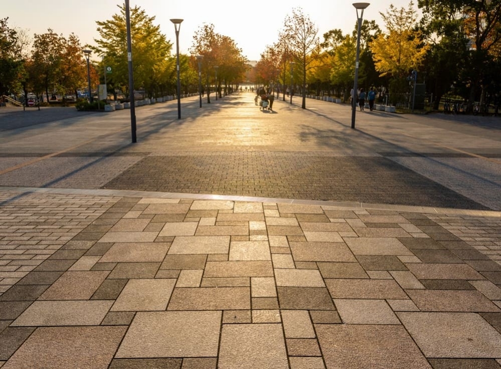 シンボルプロムナード公園｜ケヤキ並木が映える都市の紅葉ストリート