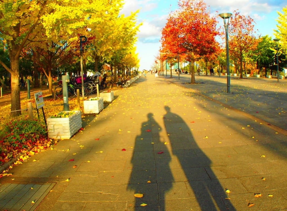 潮風公園｜海風と秋色のコントラストが心地よい海辺の散歩道