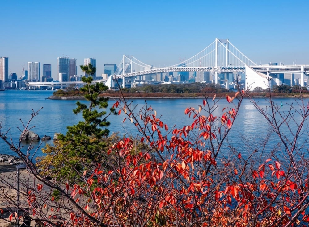 昼間に巡りたいお台場紅葉スポット4選