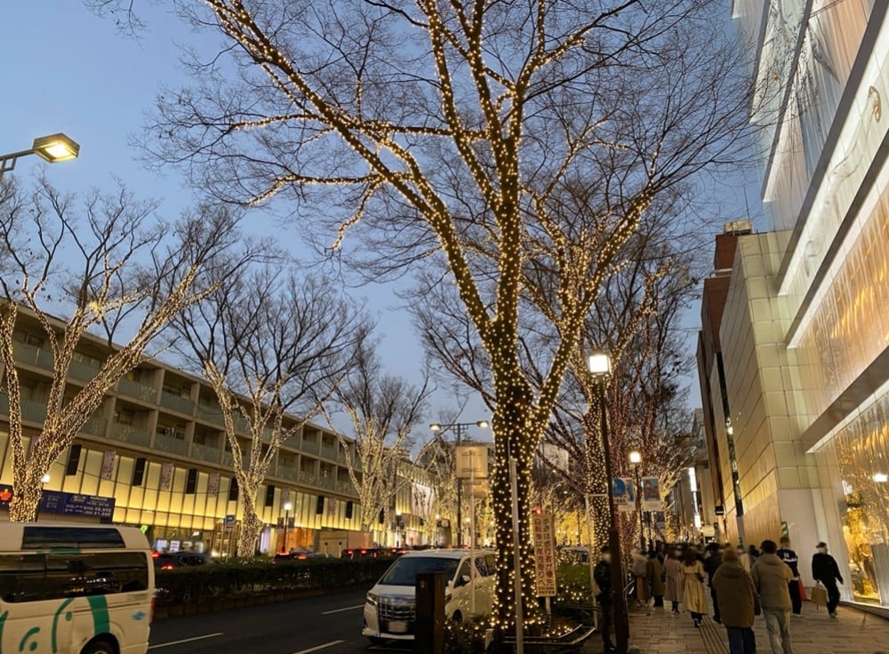 【青山・外苑前エリア】洗練と静けさに酔う