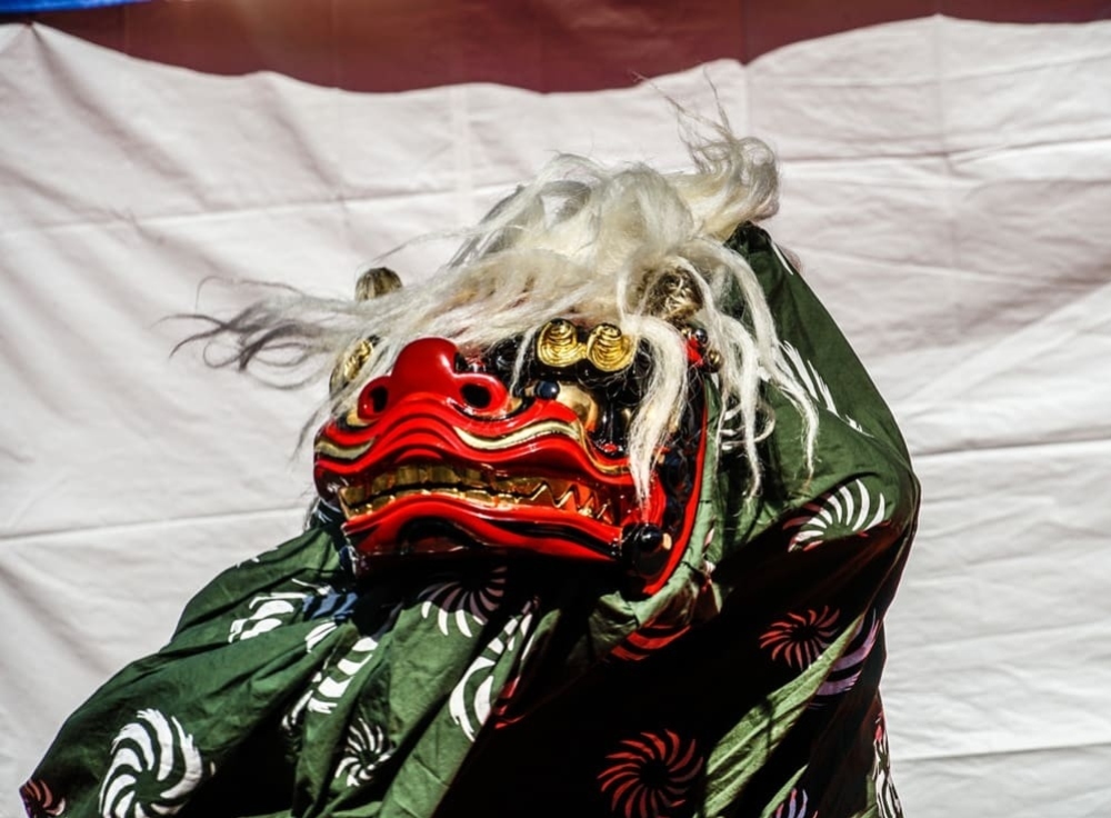 NEW YEAR STAY PLAN 2026