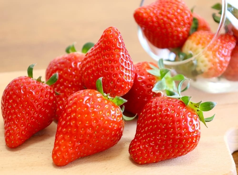 ブランドいちごを知ると、フェア巡りはもっと楽しい