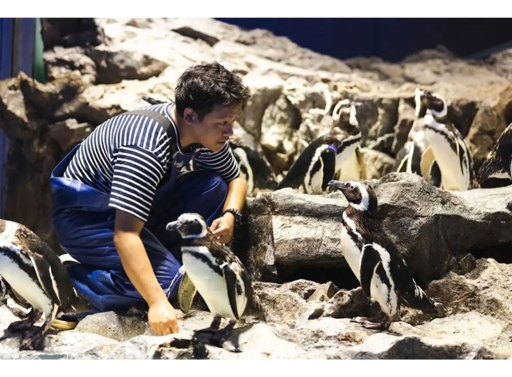 東京スカイツリータウン®｜1日中楽しめる巨大インドア複合施設