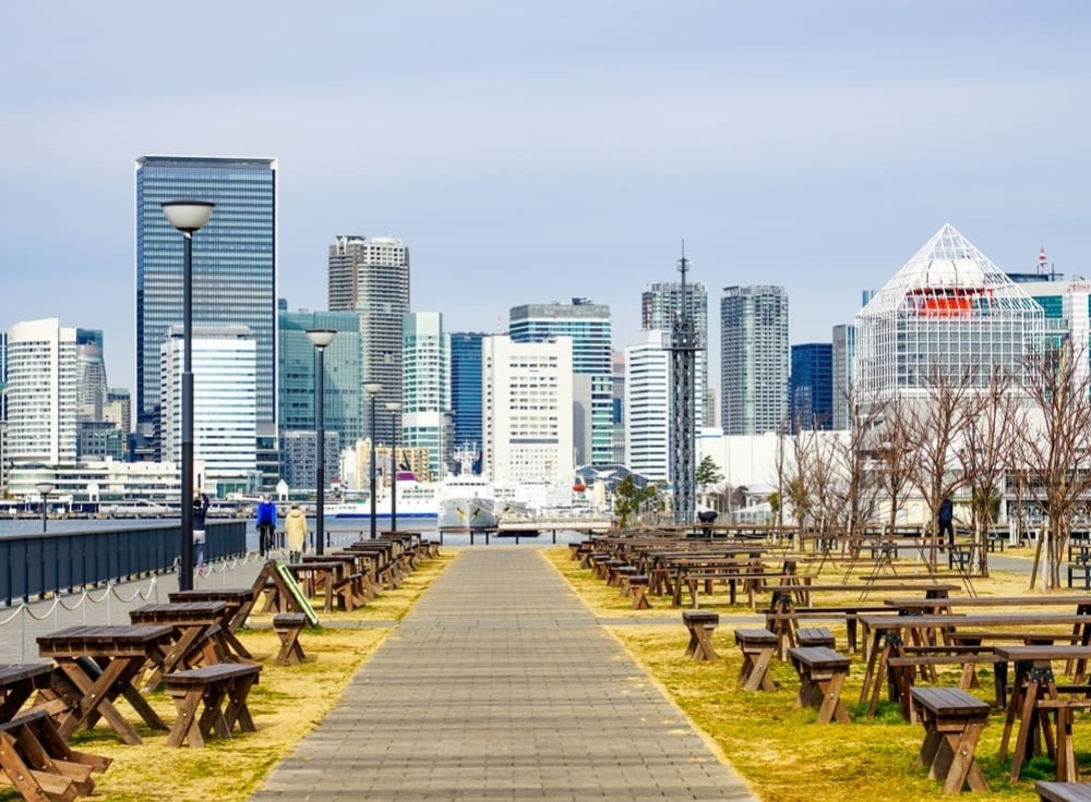 豊洲ぐるり公園で東京湾の絶景散歩