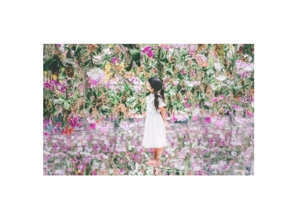 チームラボプラネッツ TOKYO DMMで全身没入のデジタルアート体験