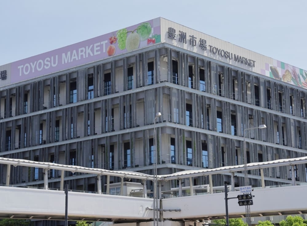 豊洲市場で朝のマグロ競り見学と海鮮グルメを満喫