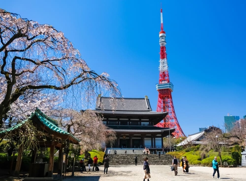 [Limited Time] Experience Tokyo in a Special Way with the TOYOTA e-Palette!