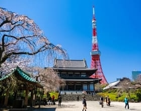 [Limited Time] Experience Tokyo in a Special Way with the TOYOTA e-Palette!