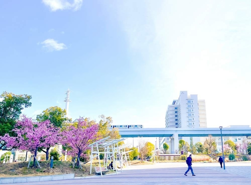 シンボルプロムナード公園（写真映えするお台場の桜道）