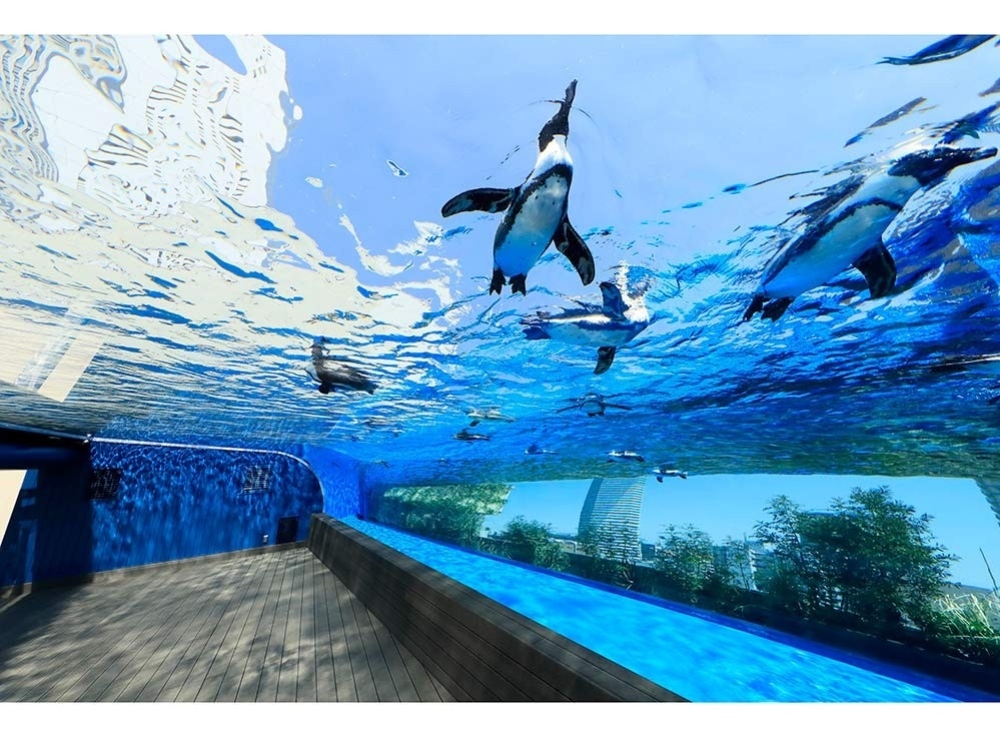 サンシャイン水族館（池袋）