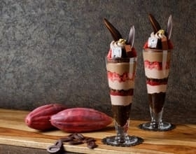 The Lobby Cafe「至福のチョコレートパフェ ～カカオとフランボワーズの余韻～」