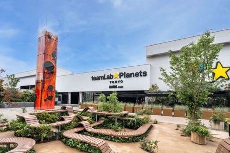 팀랩 플래닛 도쿄 (teamLab Planets TOKYO) DMM