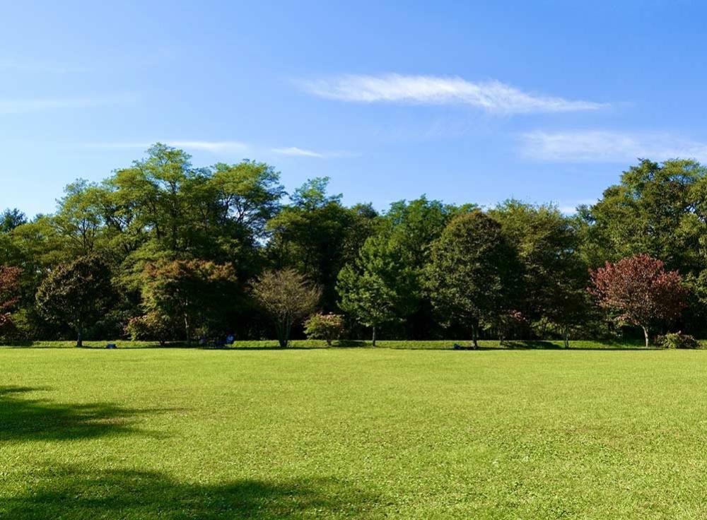 郊外でGWを過ごすメリット・デメリット