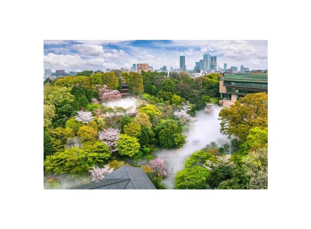 ホテル椿山荘東京（文京）｜緑に包まれる庭園で過ごす、静かなリゾートステイ
