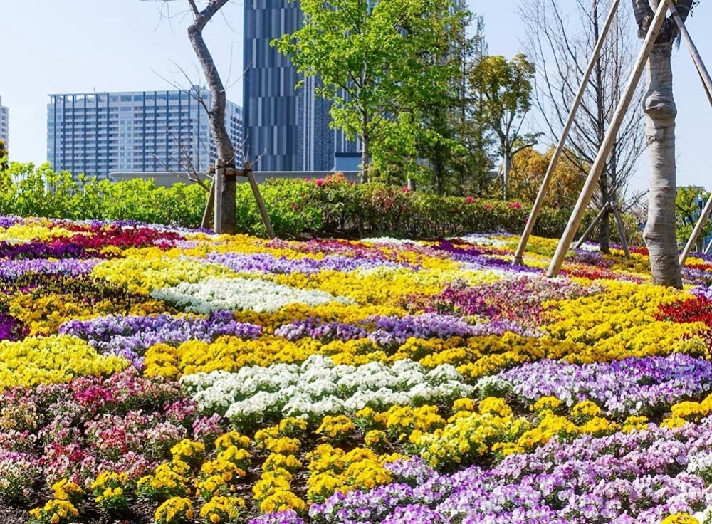 シンボルプロムナード公園