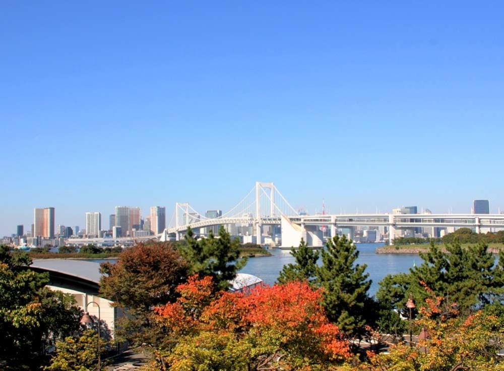 まとめ｜秋はお台場でゆったり観光を楽しもう