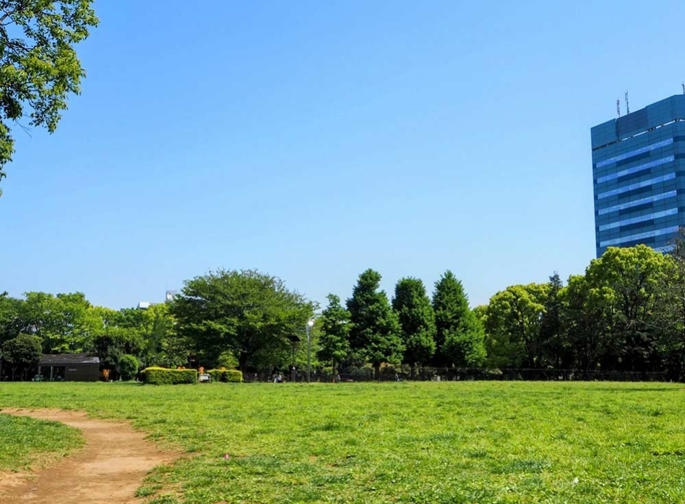 木場公園ドッグラン｜約2,040㎡の広々とした空間で愛犬と遊ぶ