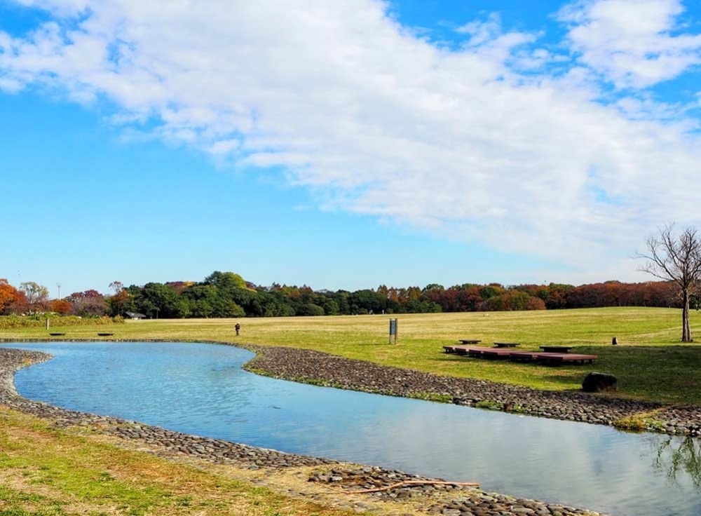 水元公園ドッグラン｜2026年オープン！水郷風景とともに楽しむ