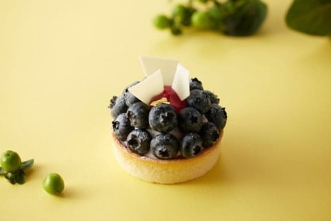 蔵王ヨーグルトとブルーベリータルト