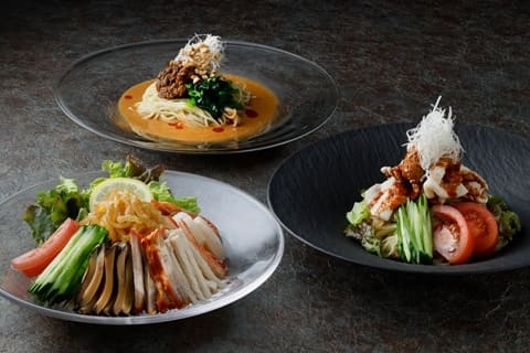 Chinese Restaurant “Toh-Lee” – Summer Special Chilled Noodles Plan