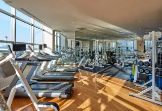 fitness