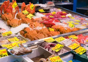 Tsukiji Outer Market