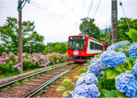 Hakone Tozan Railway