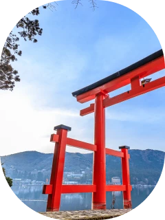 Travel around Japan, Chill out in Tokyo