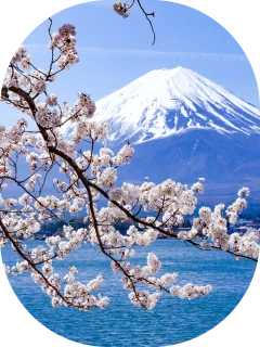 Travel around Japan, Chill out in Tokyo