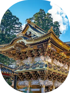 Travel around Japan, Chill out in Tokyo