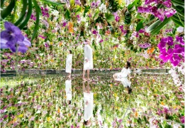 teamLab Planets TOKYO