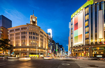 현지 어트랙션 / 관광