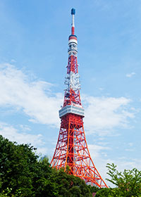 현지 어트랙션 / 관광