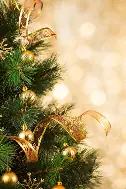 画像：クリスマスツリー