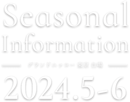 Seasonal Information 2023.5 - 6　グランドニッコー東京 台場