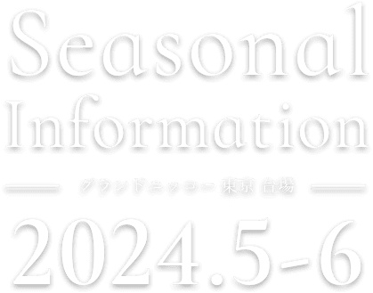 Seasonal Information 2023.1 - 2　グランドニッコー東京 台場